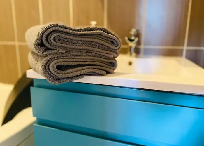 Le Zen Appartement Balneo Grenoble